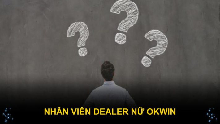 Nhân Viên Dealer Nữ Okwin