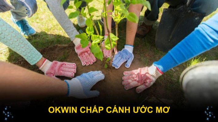 Okwin Chấp Cánh Ước Mơ